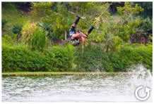 Imagens do 2d Cable Park, bairro Centro - Cotia